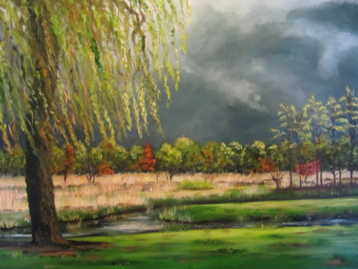 naderend onweer kortenhoefsedijk