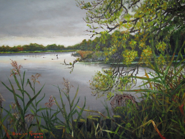 drinkwaterplas loosdrecht