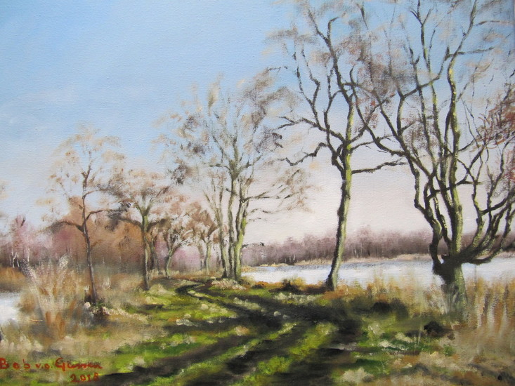 vuntus plas / loosdrecht