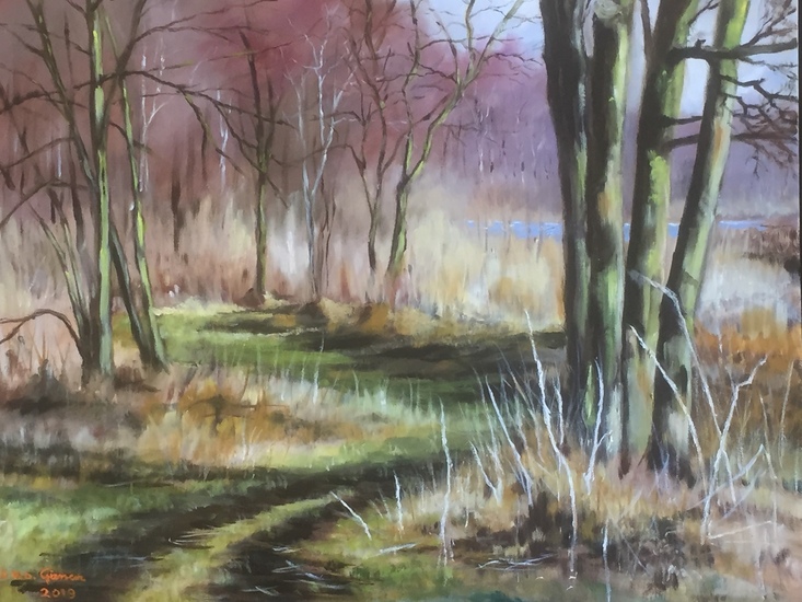 kromme rade achter de Vuntus ( loosdrecht )