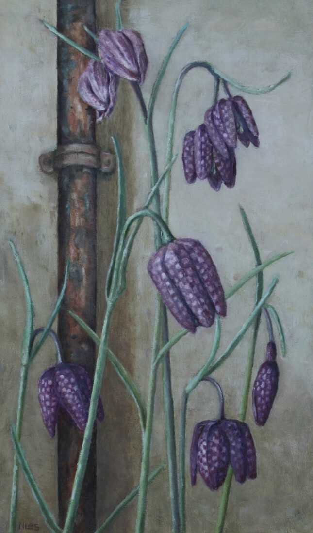 Klokjes met waterleiding