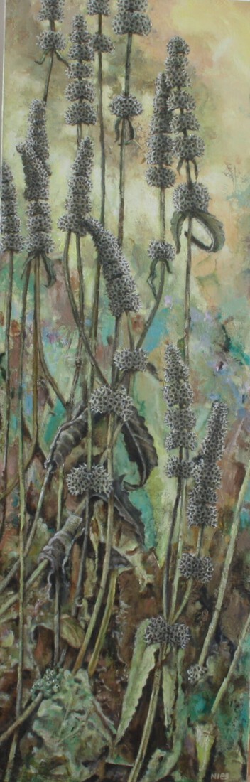 Agastache foeniculum in de herfst