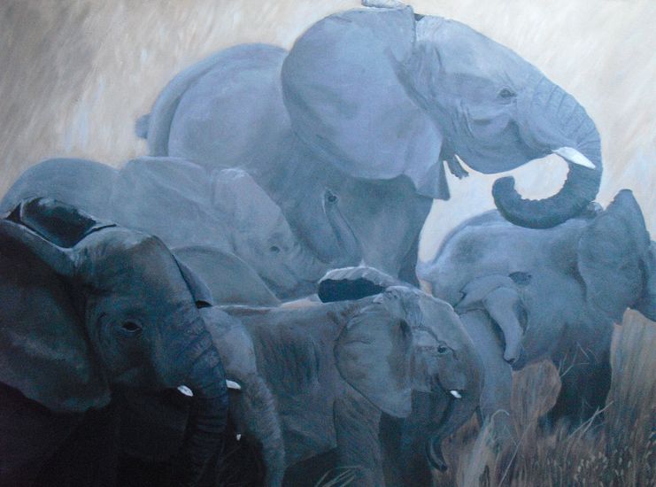 kudde olifanten