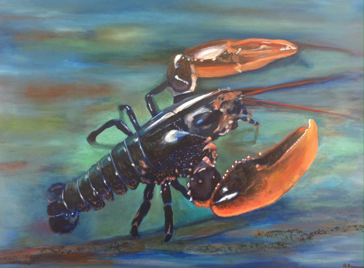 kreeft in de Oosterschelde