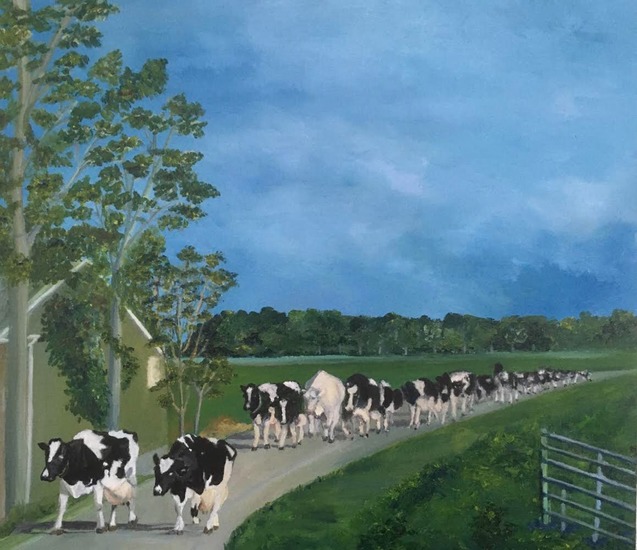 De koeien op pad in ouwerkerk