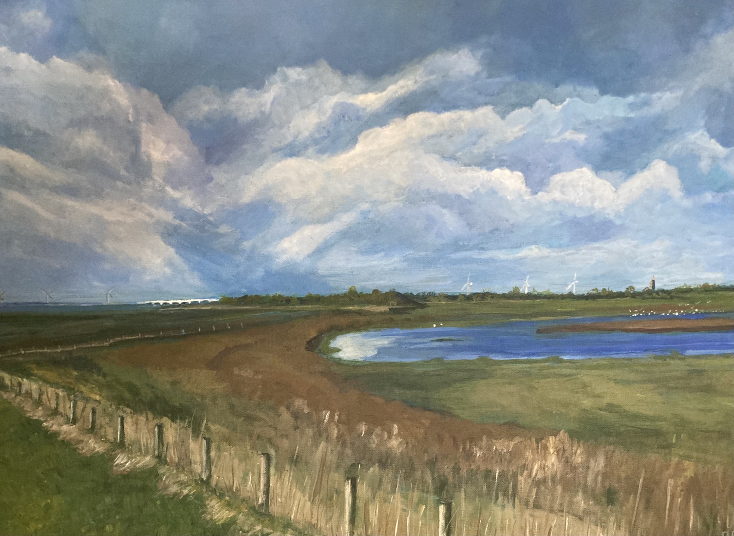 Natuur rondom Ouwerkerk 