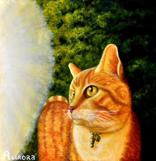 When the Light Calls