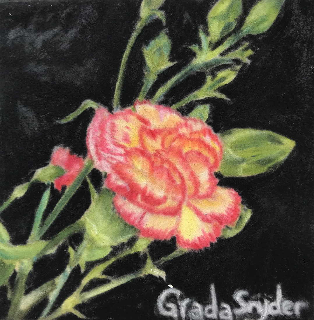 Anjer in knop - mini