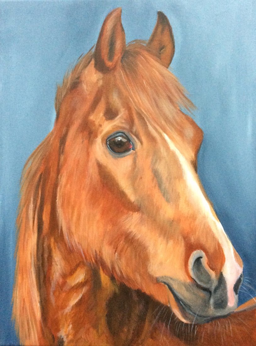 oude overleden pony, gemaakt in opdracht