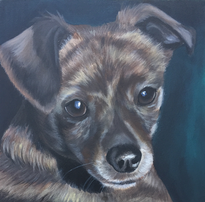 Honden op steen en doek