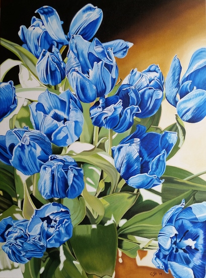 Blauwe Tulpen