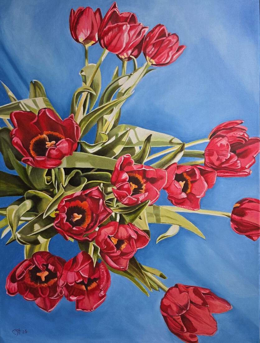 rode tulpen 2026