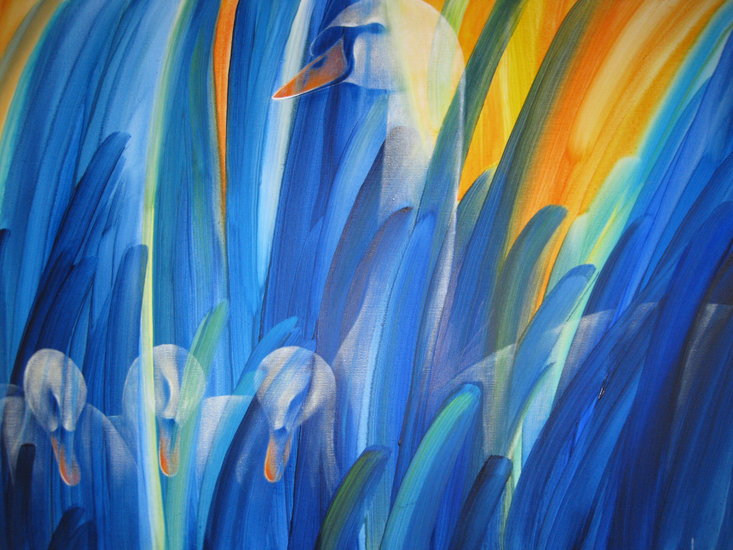 Familie Zwaan in het Riet