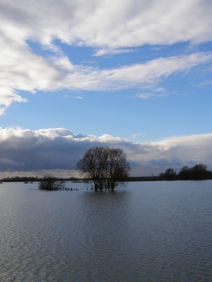 The act of acquiring