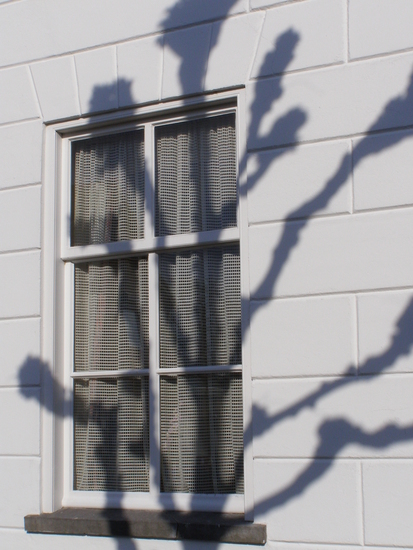 Shadow of manipulation