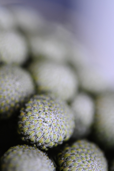 bloem abstracten #5