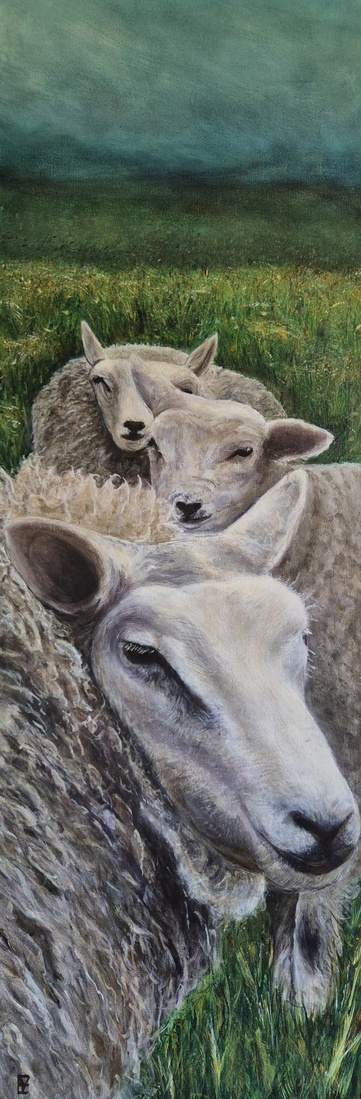 de schapen van Pieter
