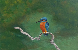 Dieren in hun doen en laten.