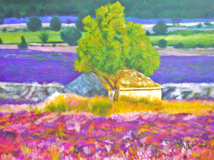 Provence lavendelvelden I