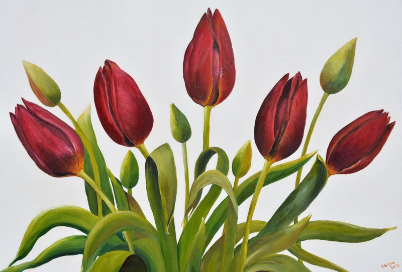 Silky Tulips