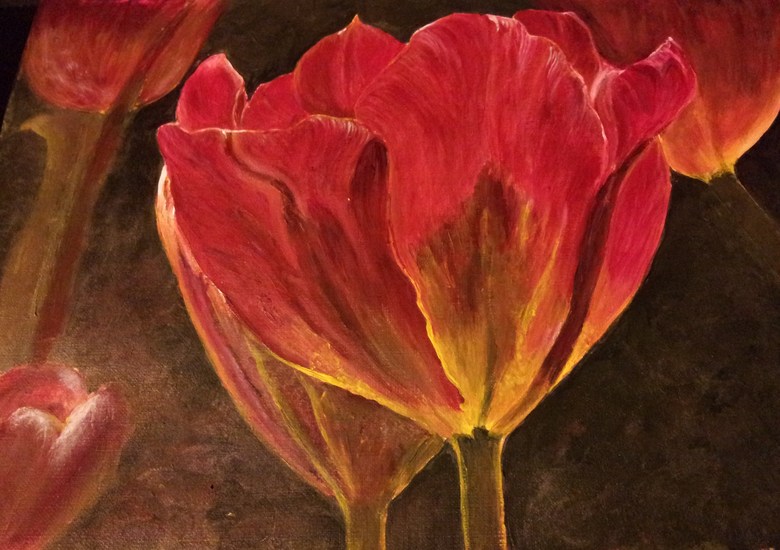 Tulips