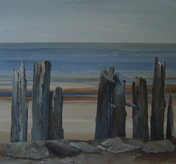 Peallen lâns de kust