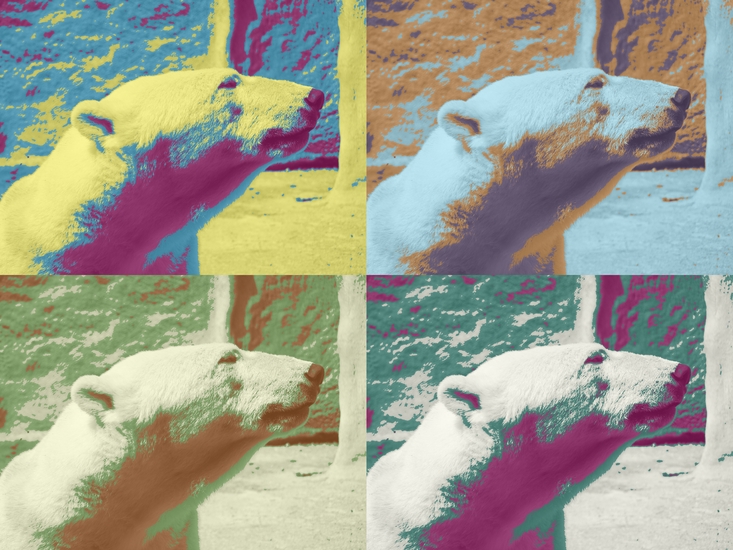 Popart