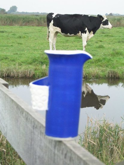 cow on bottle
