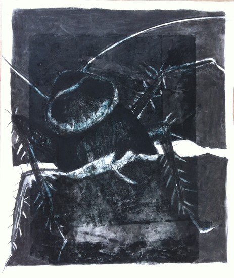 Periplaneta americana 2