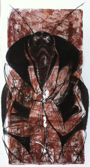 Periplaneta americana 4