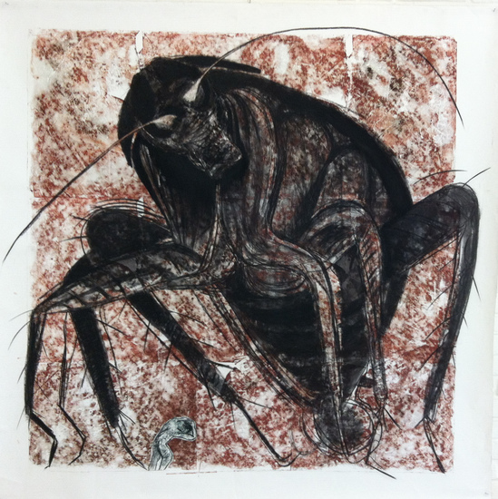 Periplaneta americana 6