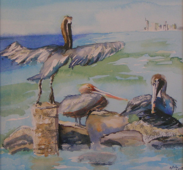 Pelikanen Palm Beach