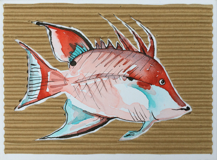 Fish 31