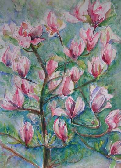 Magnolia