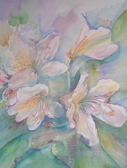 Bloeiende Rododendron