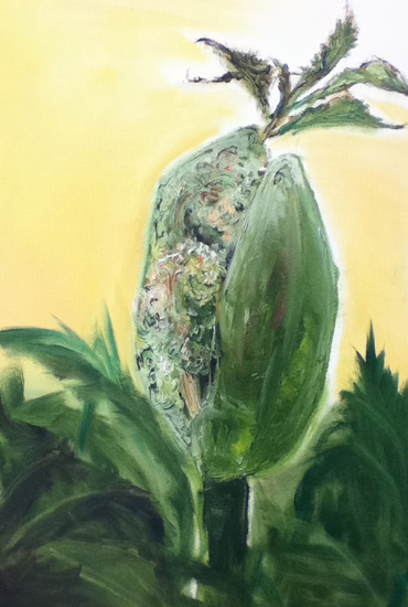 berenklauw in de knop 2