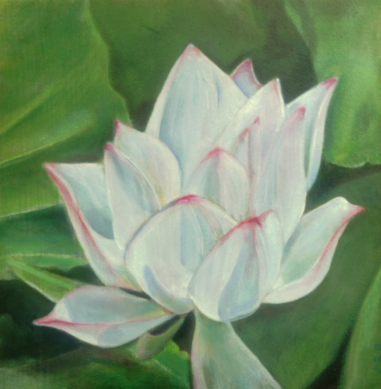 lotus 2