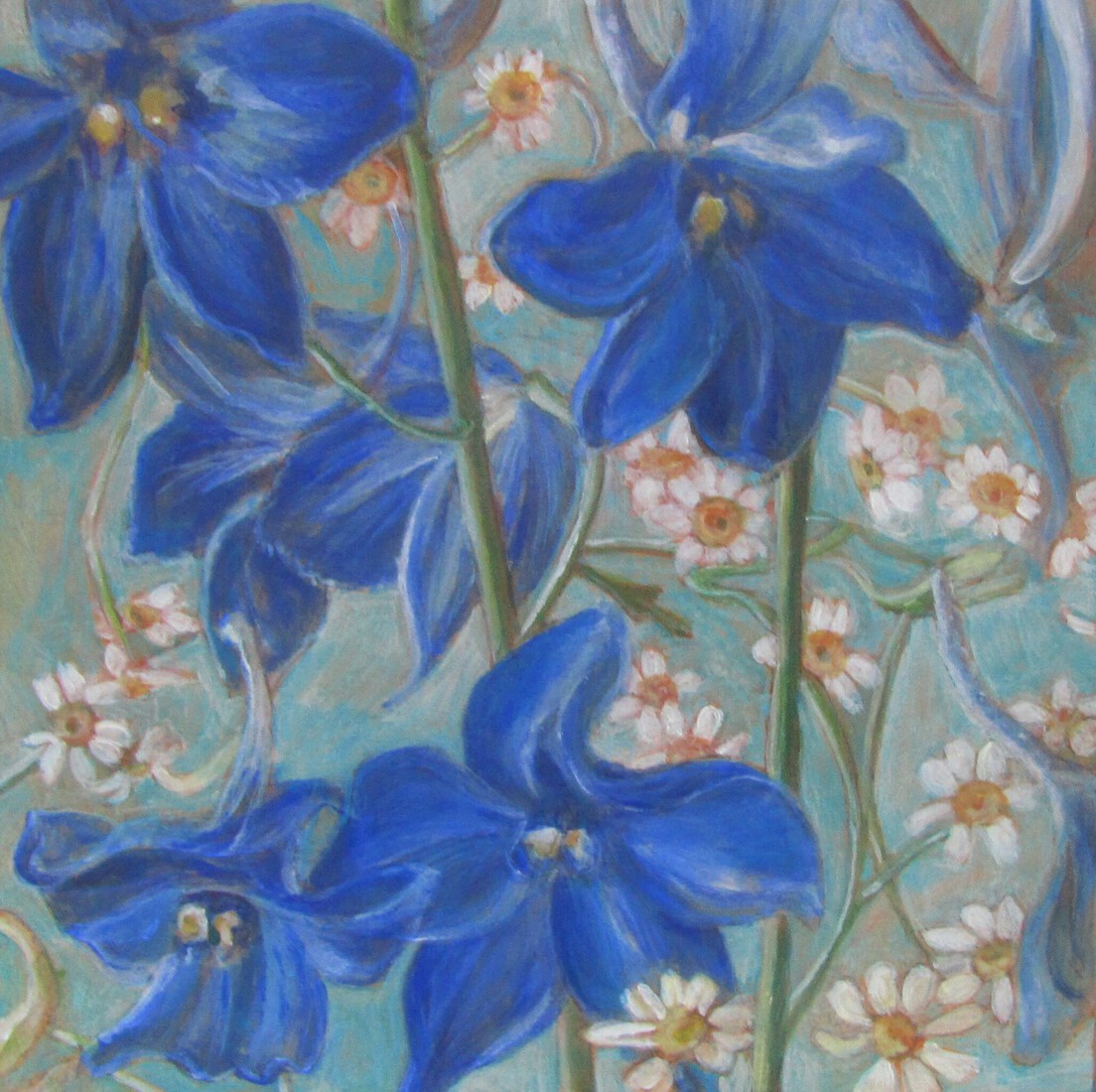 ridderspoor en madeliefjes