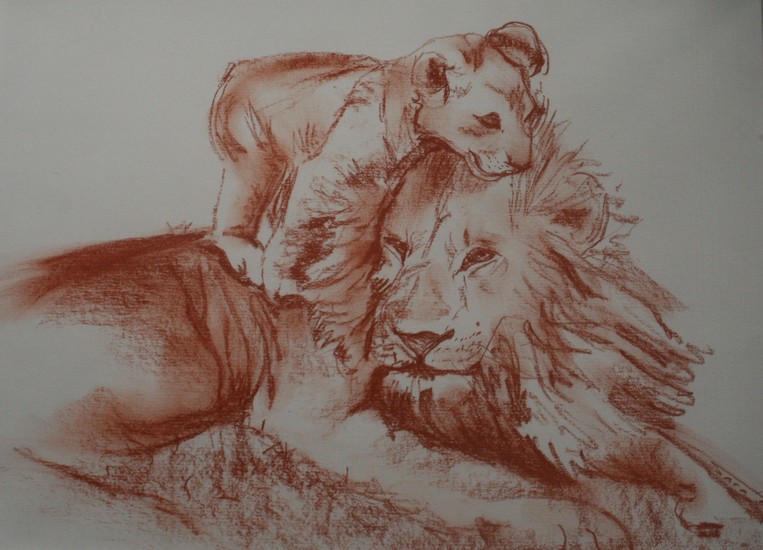 Lions