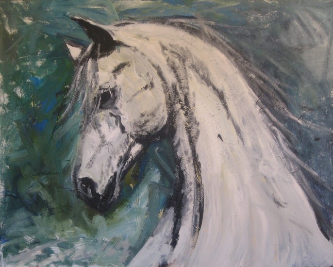 a horse for my daughter