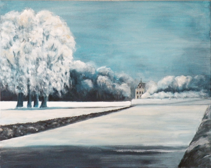 Het bevroren landschap van Kasteel Duivenvoorde