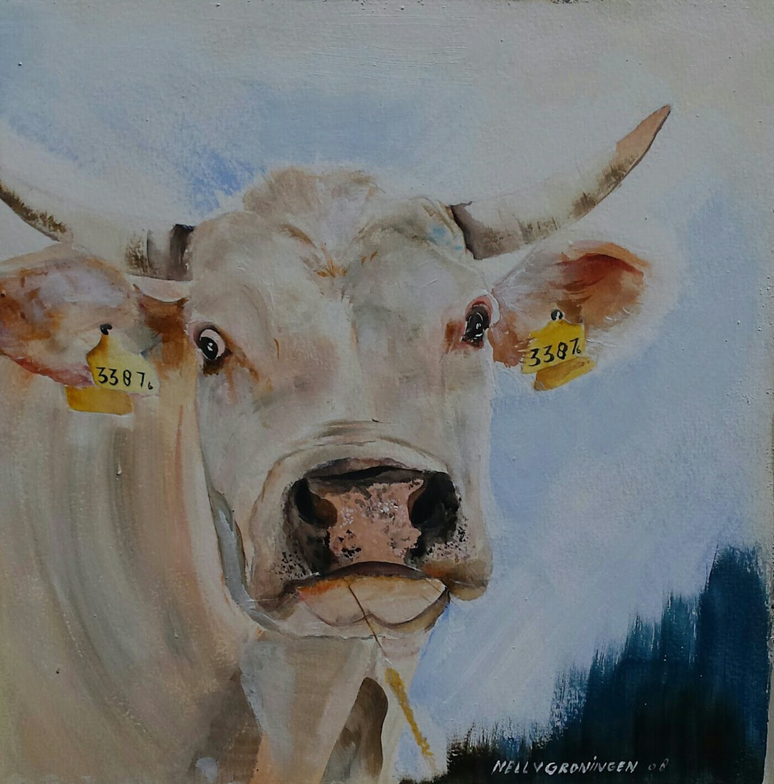 Koeien portret  nr.1