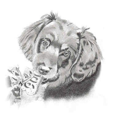 ontwerp kerstkaart