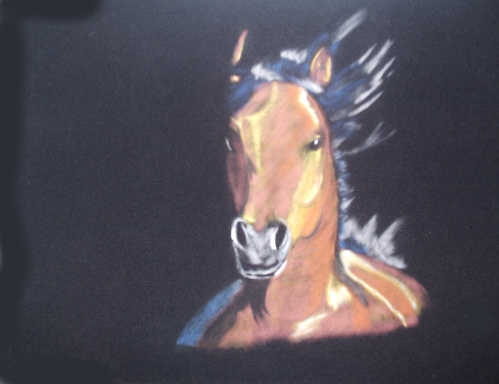 Paard