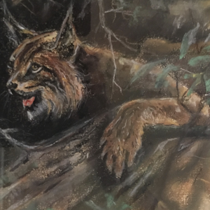 Mijn werk ontstaat uit de diepe verbondenheid tussen landschap en dier. Ik laat me inspireren door hoe dieren opgaan in hun omgeving en hoe het landschap hun bewegingen, stilte en aanwezigheid draagt. In mijn tekeningen zoek ik naar die natuurlijke harmonie: het samenspel van vorm, licht en leven dat mens, dier en natuur met elkaar verbindt.