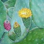 Dingen die mijn aandacht trekken wil ik graag op mijn eigen wijze weergeven.