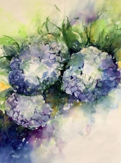 Hortensia's