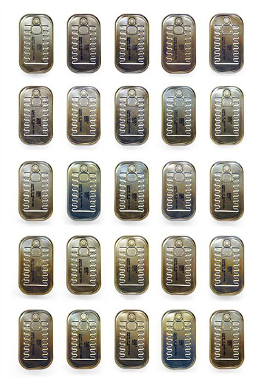 portraits of sardines 10001