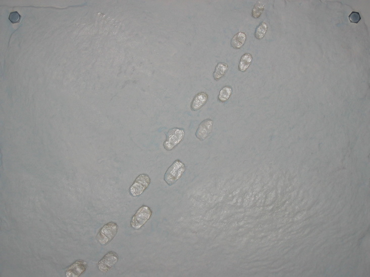 sporen in de sneeuw 3