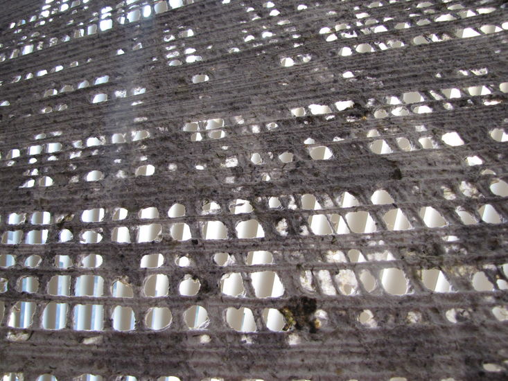 detail grijze vleugel